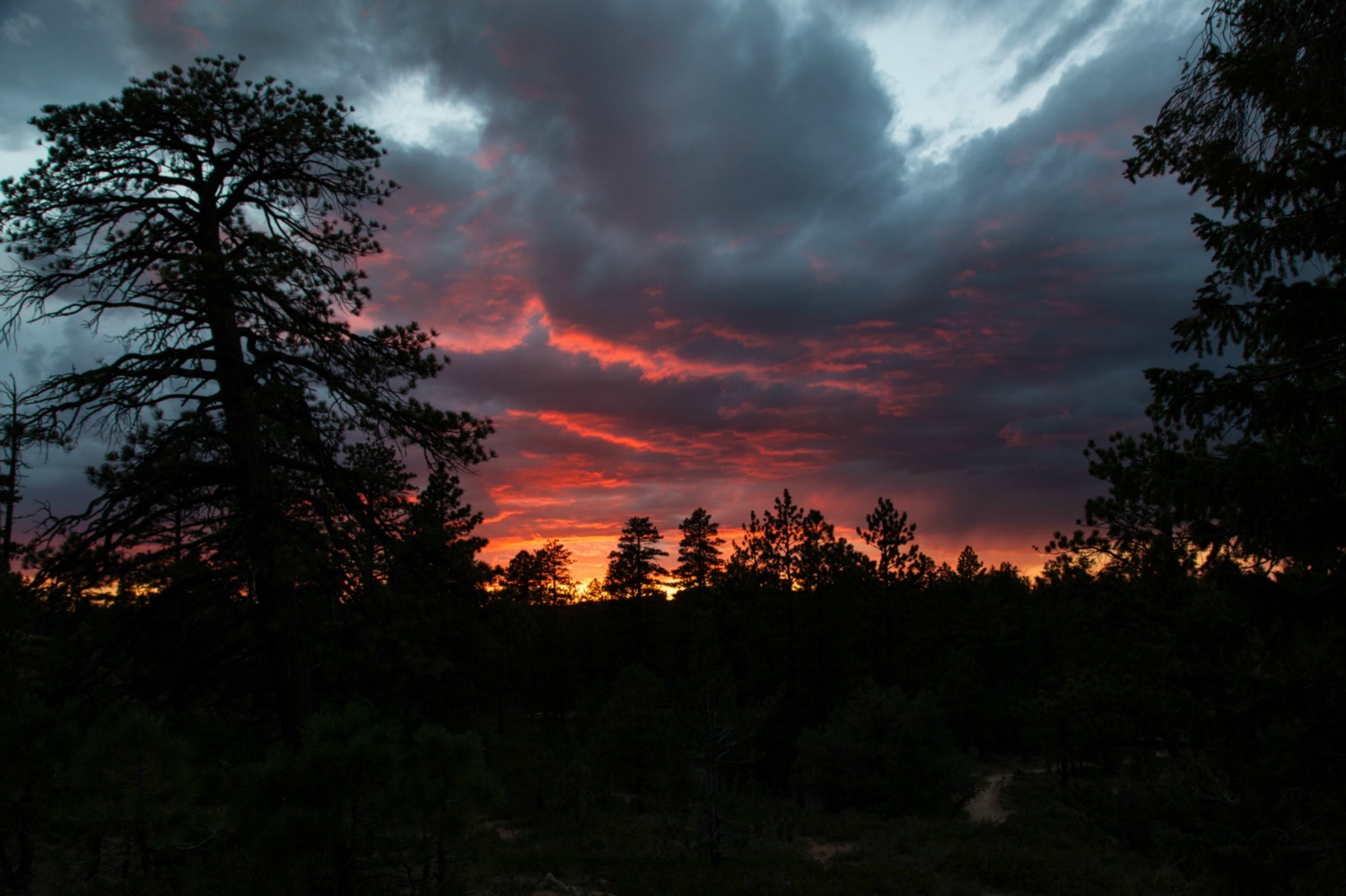 USA_Bryce Canyon_305